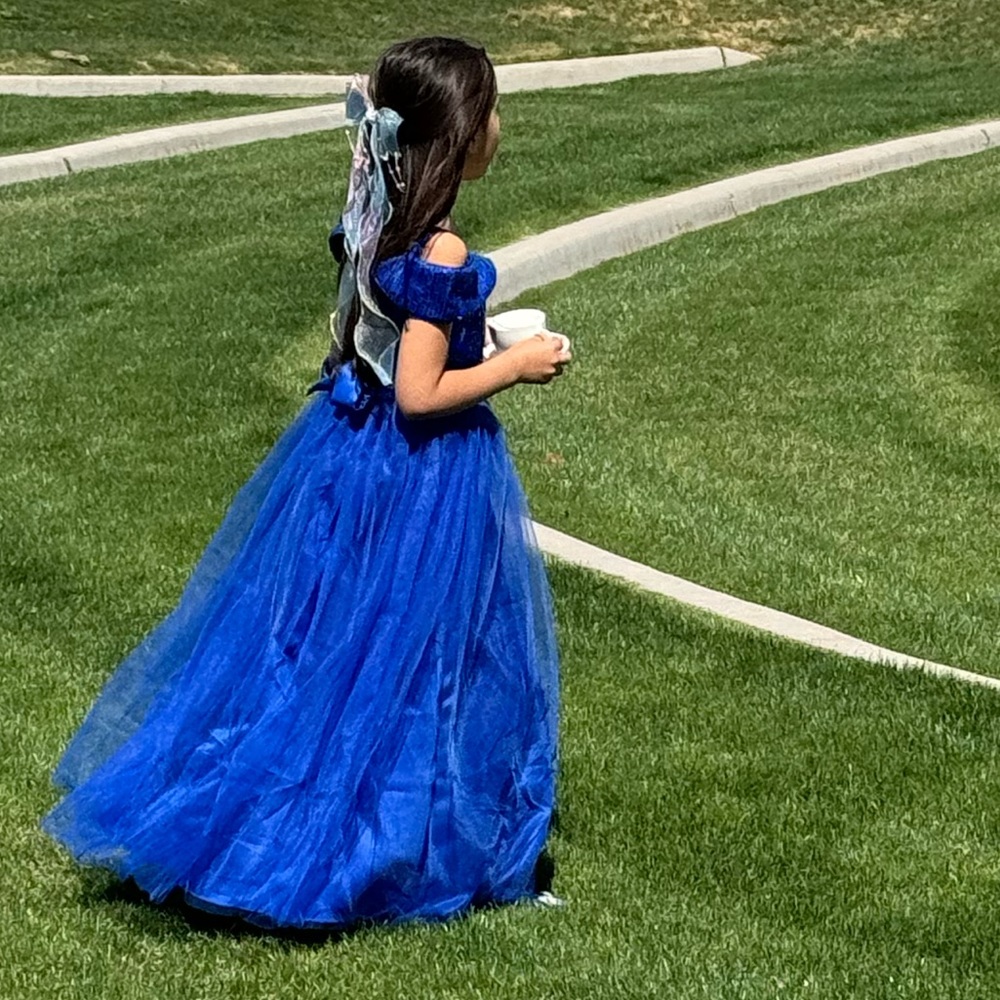 Royal Blue princess dress